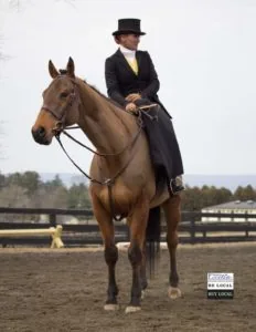Maureen Conroy Britell