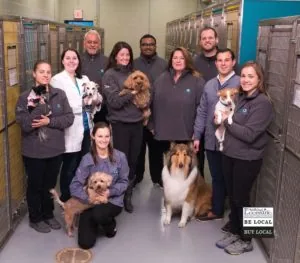 Honored furry guests with the staff of  The Ark at JFK in the Pet Oasis