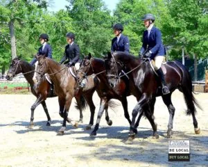 Upperville Colt & Horse Show 2017