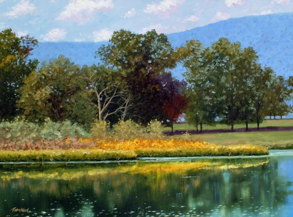 Afternoon Reflections by Tom Neel