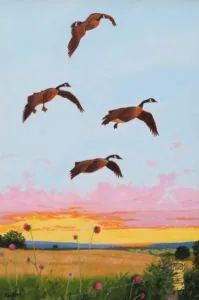 Evening Light by Tom Neel
