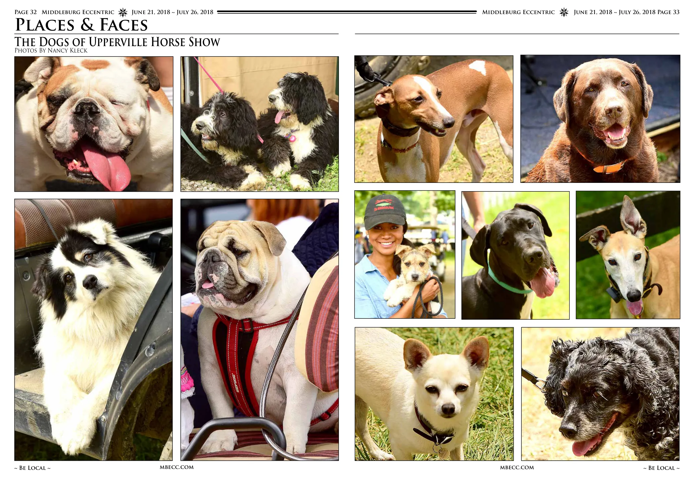 Various dog photos · Various dog photos continued